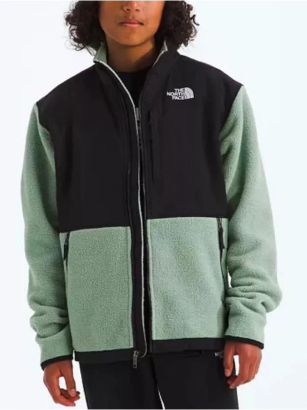 NWOT The North Face Big Boys' ( Teen / Adolescent) Denali Fleece Jacket Sz L(12)